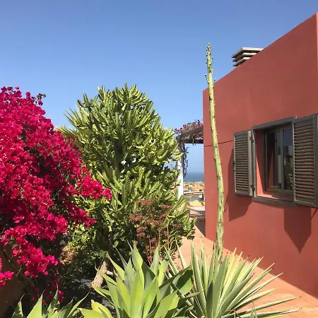 Antigua فيلة